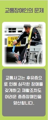 교통장애인의 문제