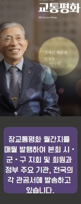 교통평화